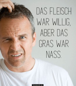 41 Extrem dumme Sprüche finestwords