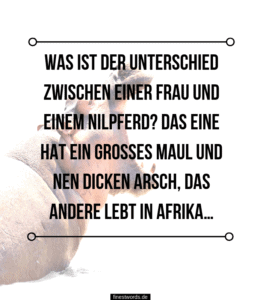 32 Lustige Sprüche über Frauen finestwords