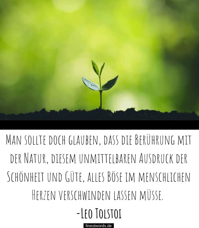 36 Inspirierende Zitate über die Natur finestwords