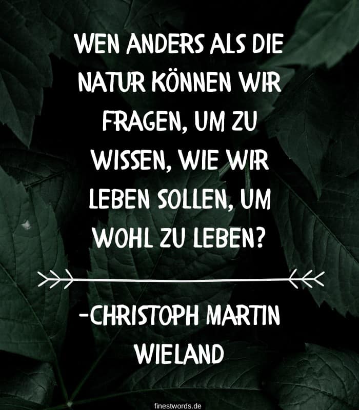 Enttäuscht von menschen zitate