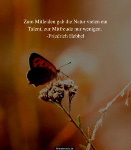 36 Inspirierende Zitate über die Natur finestwords
