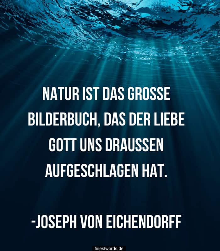 36 Inspirierende Zitate Uber Die Natur Finestwords