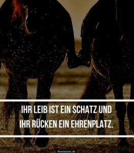 34 Wunderschöne Pferdesprüche finestwords