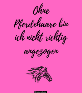 34 Wunderschöne Pferdesprüche finestwords