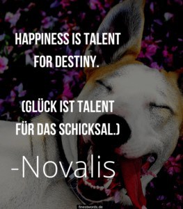 29 Englische Sprüche mit Übersetzung finestwords