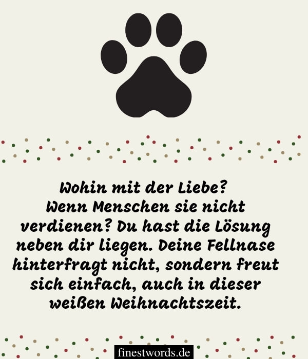 Weihnachtswünsche Für Hundebesitzer: Schön, Kurz & Lustig