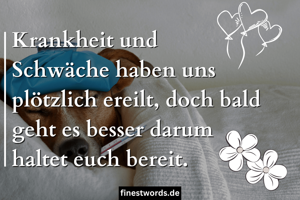 Hochzeit Verschieben 41 Mustertexte & Sprüche (Für 2024)